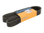 V formos rumbuoti diržai DAYCO DAY10PK1342SHD