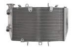 Radiatorius RAD-616 Tinka: TRIUMPH 1050