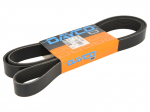 V formos rumbuoti diržai DAYCO DAY8PK2215HD