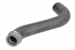 radiatoriaus žarna THERMOTEC DWM049TT