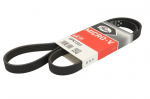 V formos rumbuoti diržai GATES GAT5PK1303