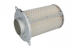 Oro filtras HIFLO HFA3503