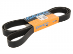 V formos rumbuoti diržai DAYCO DAY8PK2380HD