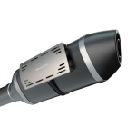 terminė apsauga