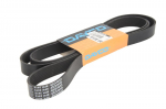 V formos rumbuoti diržai DAYCO DAY8PK2415HD