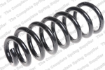 Pakabos spyruoklė LS4204272