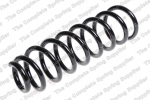 Pakabos spyruoklė LS4295086