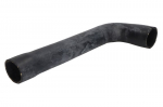 radiatoriaus žarna DT SPARE PARTS 1.11660