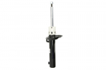 Amortizatorius AGW073MT