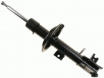 Amortizatorius 312 820
