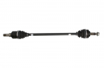 pusa&scaron;is POINT GEAR PNG72757