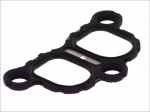 Įsiurbimo kolektoriaus tarpinė EL016971