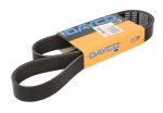 V formos rumbuoti diržai DAYCO DAY8PK1300HD