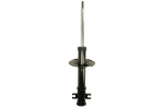 Amortizatorius AGF035MT