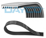 DAYCO V formos rumbuoti diržai DAY8PK2642HD