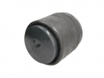 Pneumatinės pakabos kamera 4560NP02 75758