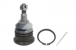 &Scaron;arnyras DELPHI TC2382
