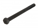 Lingės tvirtinimo varžtas - 260/2mm,