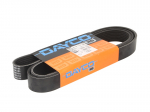 V formos rumbuoti diržai DAYCO DAY8PK1700HD