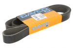 V formos rumbuoti diržai DAYCO DAY8PK1765HD