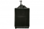Variklio radiatorius THERMOTEC D7AG125TT