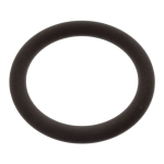 Alyvos siurblio tarpinė FEBI FE49465