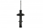 Amortizatorius AGF077MT