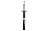 Amortizatorius AGB063MT