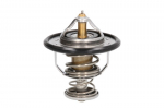 termostatas, au&scaron;inimo skystis KOREA D20310OEM