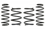 Žeminanti spyruoklė, Pro-Kit, 4vnt., pažeminimas priekis: 30mm, pažeminimas galas: 25mm,, Tinka: RENAULT LAGUNA III 2.0 dCi (BT01, BT08, BT09, BT0E, BT0K, BT12, BT1C, BT1D,.../2.0 dCi (BT07, BT0J, BT1