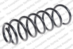 Pakabos spyruoklė LS4215630