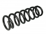 Pakabos spyruoklė LS4215628