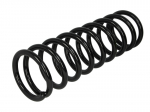 Pakabos spyruoklė LS4208410