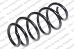 Pakabos spyruoklė LS4095094