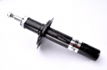 Amortizatorius AHP028MT