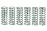 Sankabos spyruoklės Tinka: HONDA 900F (Hornet), 600F, 600FA (ABS), 600FS (Sport), 650F, 650FE, 900RR (Fireblade), 954RR (Fireblade); SUZUKI 600F, 750, 600R, 250