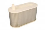 Oro filtras HIFLO HFA4910