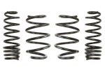 Žeminanti spyruoklė, Pro-Kit, 4vnt., pažeminimas priekis: 30mm, pažeminimas galas: 30mm,, Tinka: RENAULT MEGANE III 1.6 dCi (KZ00, KZ12, KZ13)/1.9 dCi (KZ0J, KZ0N, KZ1S)/2.0 CVT (KZ0G, KZ1P)/2.0 dCi/2