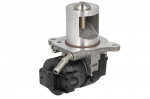 EGR vožtuvas BORG WARNER WA710095D