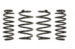 Žeminanti spyruoklė (20/20 mm) Pro-Kit (4 vnt.) E10-79-006-09-22