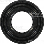 veleno sandariklis, diferencialas REINZ 81-31377-00