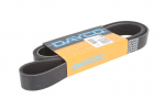 V formos rumbuoti diržai DAYCO DAY8PK1766KHD