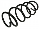 Pakabos spyruoklė LS4035765