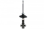 Amortizatorius AGF034MT
