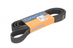 V formos rumbuoti diržai DAYCO DAY8PK2575HD
