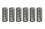Sankabos spyruoklės (Sustiprintas) Tinka: YAMAHA 600 (Fazer), 400, 250R, 250X, 650, 750 (Virago), 600R (Thunder Cat)