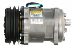 Kondicionieriaus kompresorius 10-1389