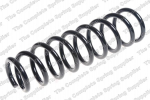 Pakabos spyruoklė LS4259245