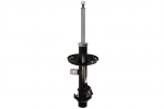 Amortizatorius AG1093MT
