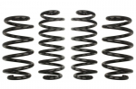 Žeminanti spyruoklė, Pro-Kit, 4vnt., ABE, pažeminimas priekis: 30mm, pažeminimas galas: 30mm,, Tinka: AUDI A4 B8 3.0 TDI quattro/3.0 TFSI quattro/3.2 FSI quattro/S4 quattro 04.08-12.15